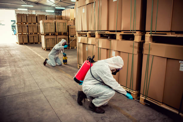 Best Pest Control for Homes  in Olivarez, TX