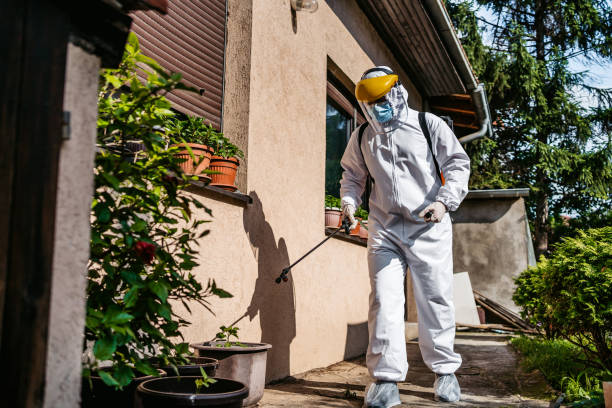 Wildlife Control Services in Olivarez, TX