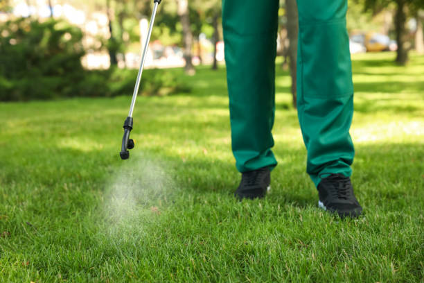 Best Rat Extermination Near Me  in Olivarez, TX