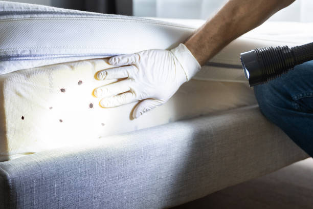 Best Best Pest Control Companies  in Olivarez, TX