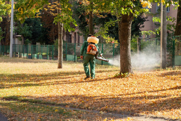 Best Ant Control Services  in Olivarez, TX